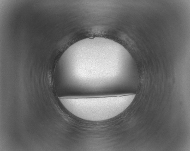 X0000071330715200606230804