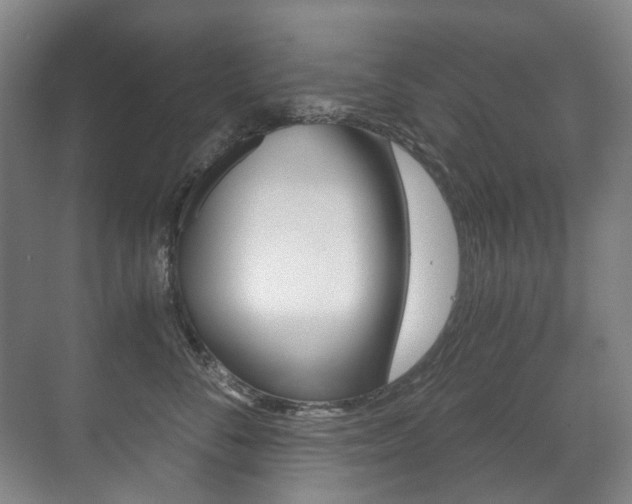 X0000071330716200606230804