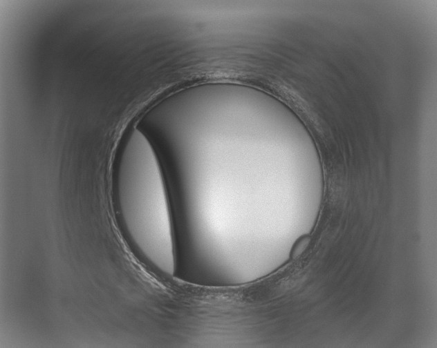 X0000071330721200606230803