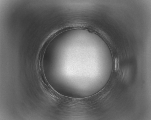 X0000071330723200606230803