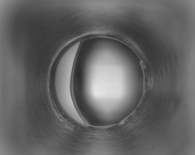 X0000071330724200606230803