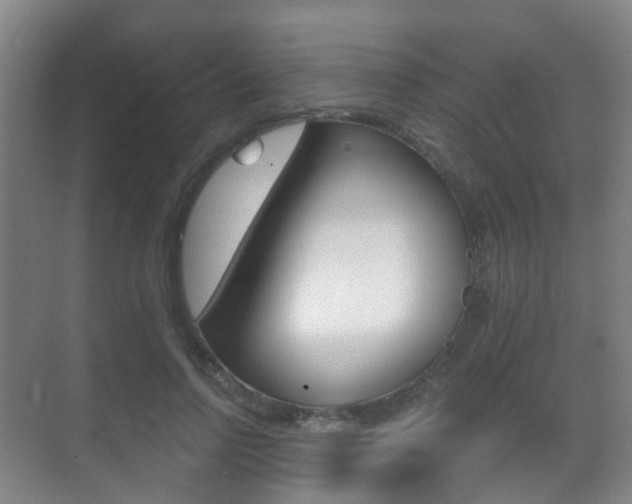 X0000071330742200606230803
