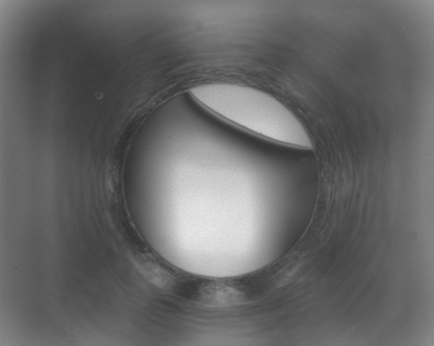 X0000071330747200606230803