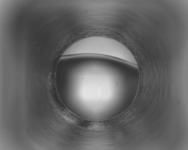 X0000071330750200606230803