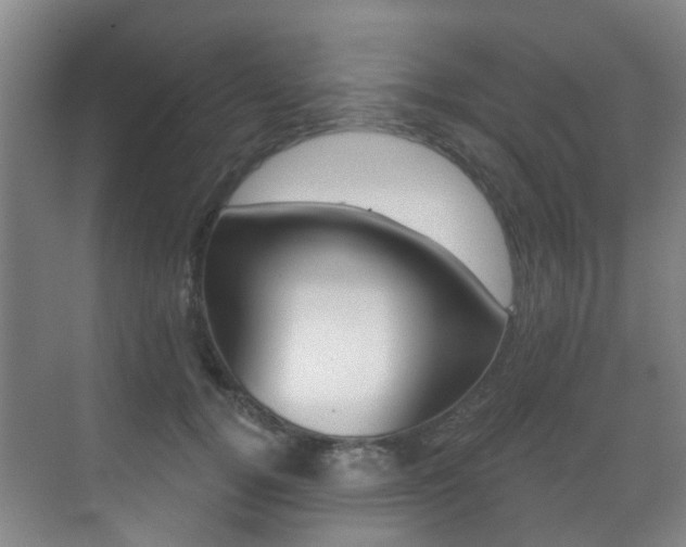 X0000071330752200606230803