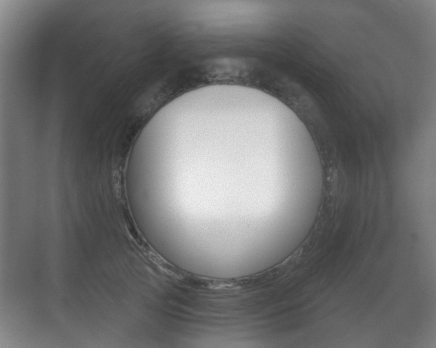 X0000071330753200606230803