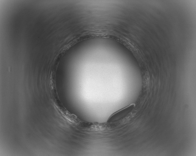 X0000071330764200606230803