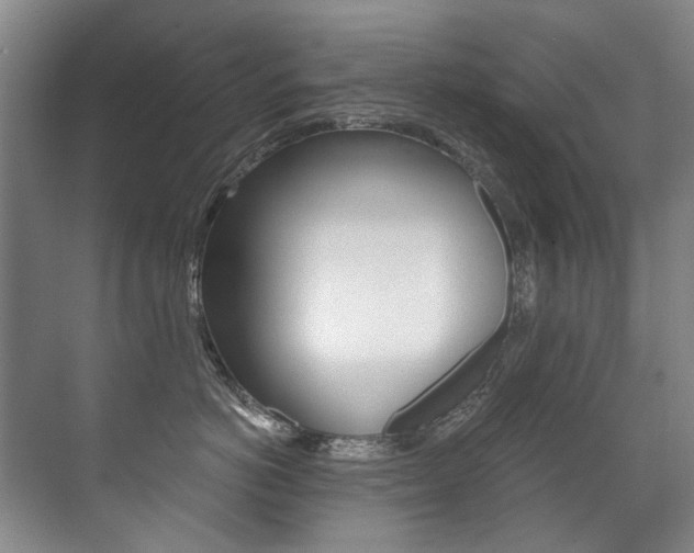 X0000071330766200606230803