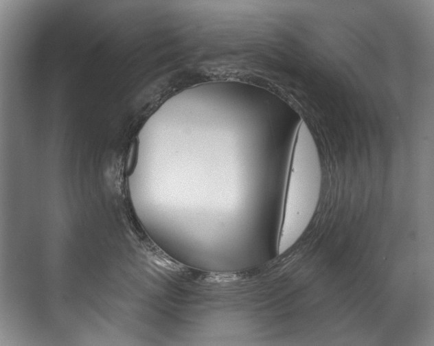 X0000071330767200606230803