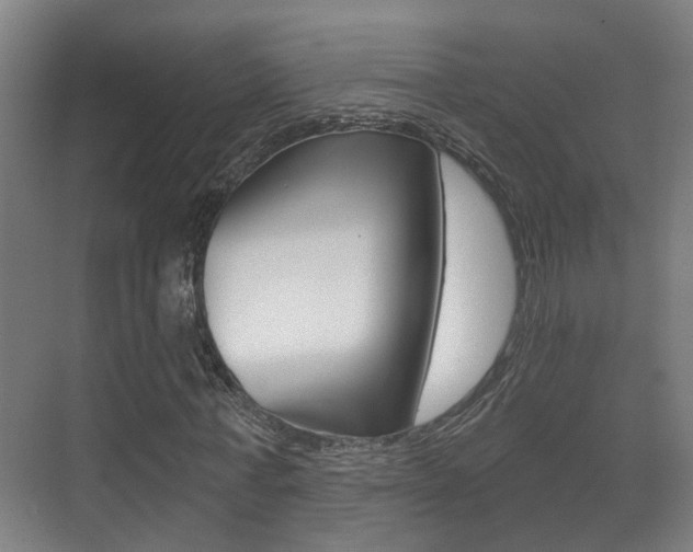X0000071330771200606230803