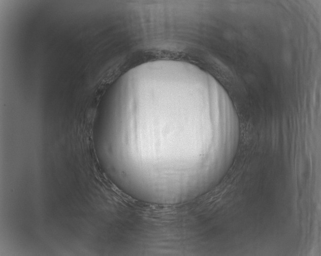 X0000071330774200606230803