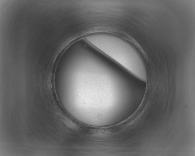 X0000071330786200606230802