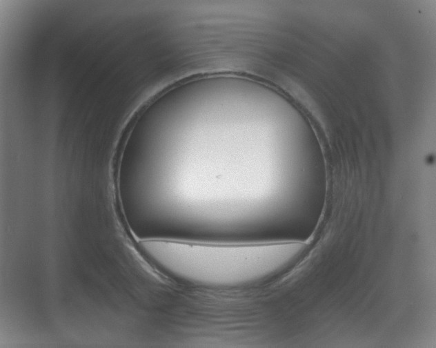 X0000071330789200606230802
