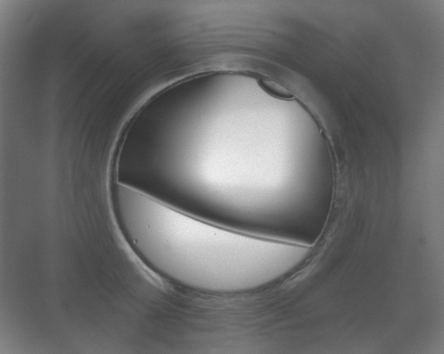 X0000071330803200606230802
