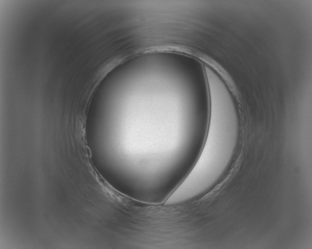 X0000071330809200606230802