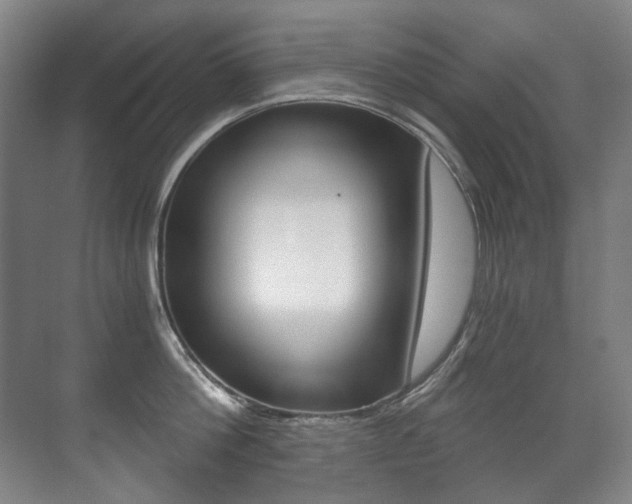 X0000071330812200606230802