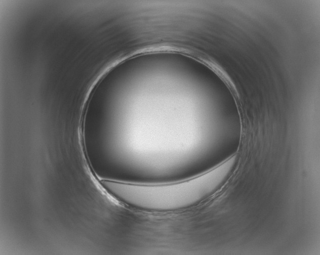 X0000071330813200606230802