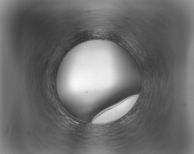 X0000071330817200606230801