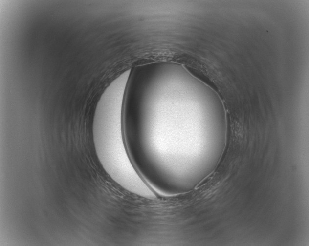 X0000071330818200606230801