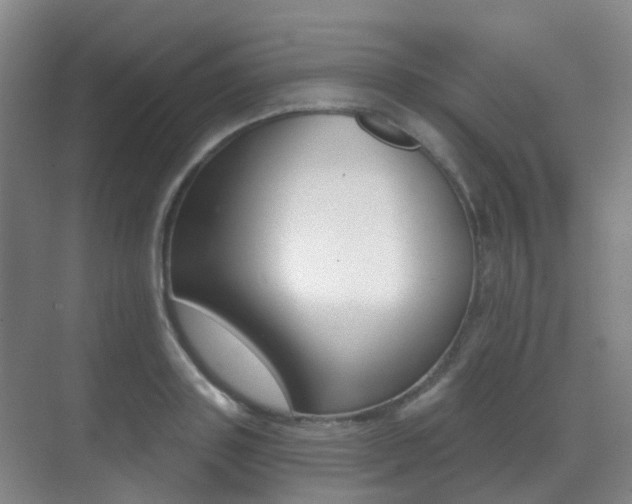 X0000071330843200606230802