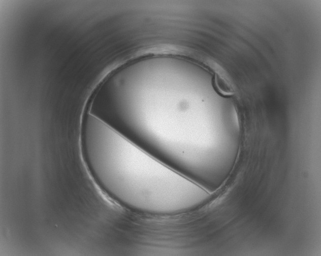 X0000071330845200606230802