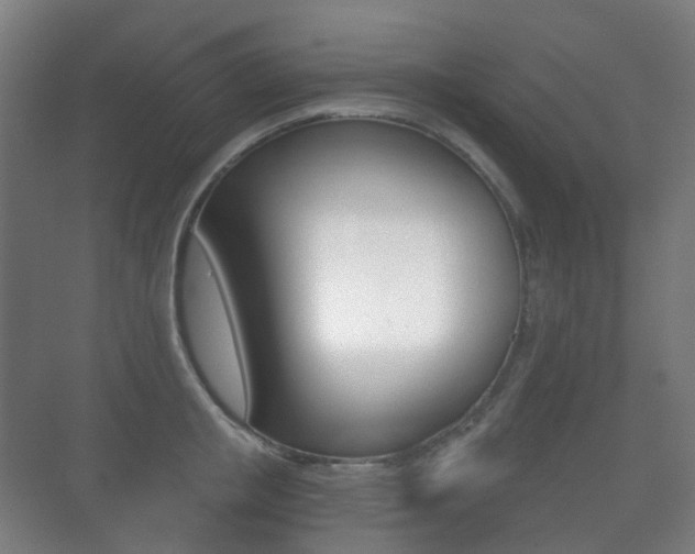 X0000071330853200606230802