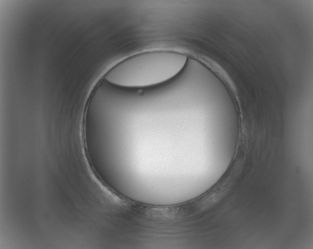 X0000071330855200606230802