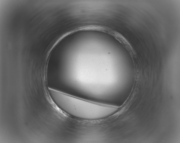 X0000071330860200606230802