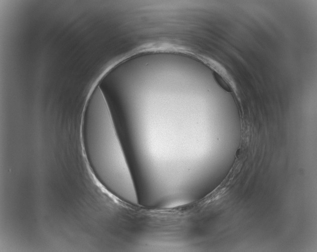 X0000071330863200606230802