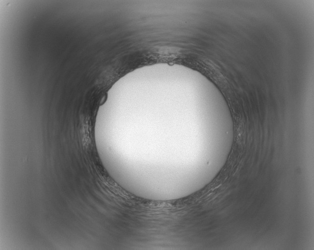 X0000071330866200606230801