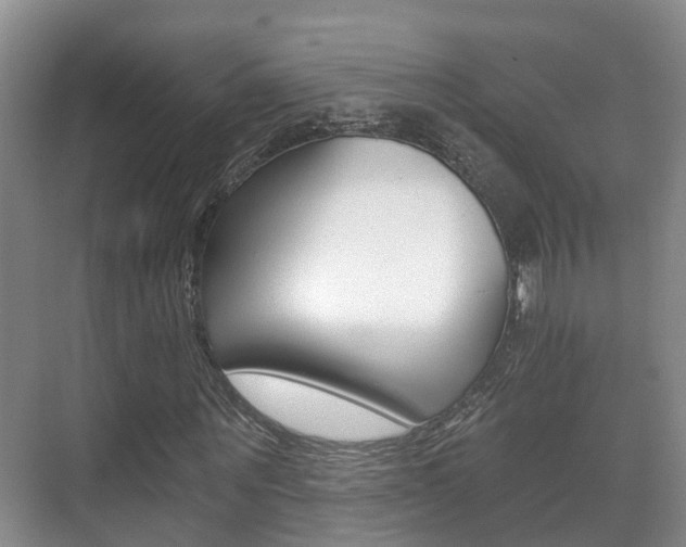 X0000071330867200606230801