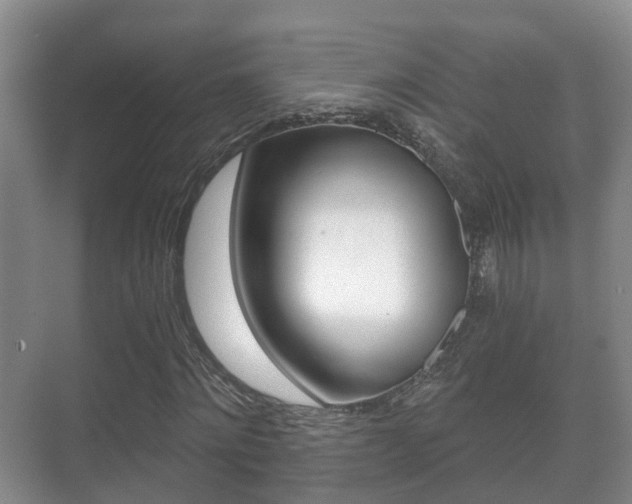 X0000071330868200606230801