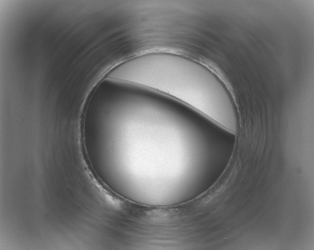 X0000071330898200606230801