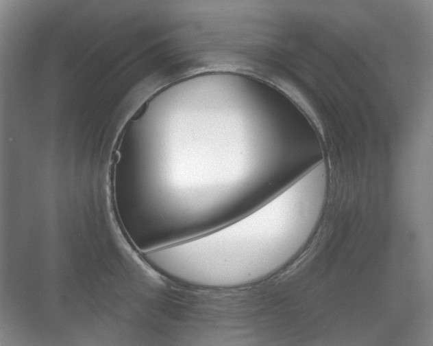 X0000071330906200606230800