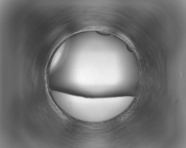X0000071330907200606230800