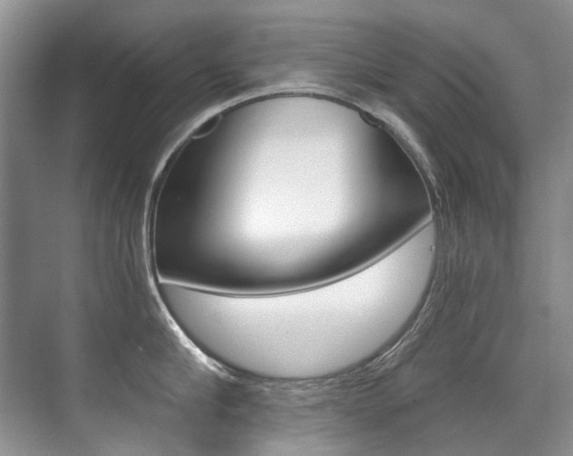 X0000071330910200606230800