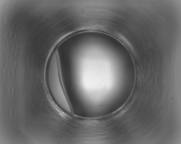 X0000071330940200606230800