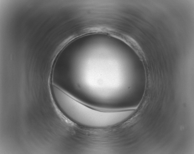 X0000071330946200606230800