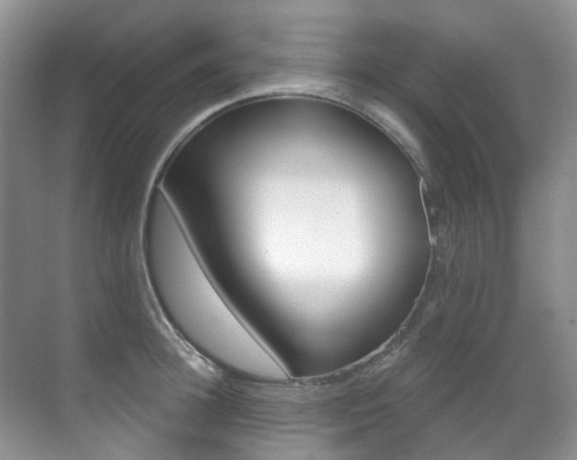 X0000071330948200606230800