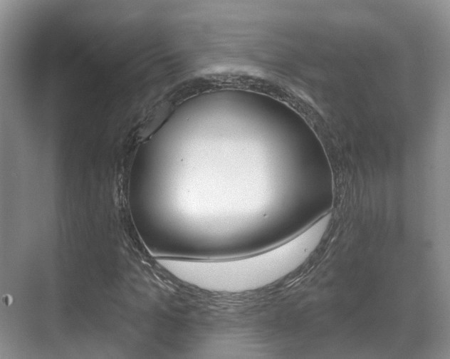 X0000071330965200606230759