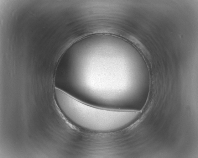 X0000071330993200606230759