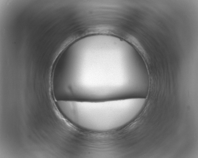 X0000071330994200606230759