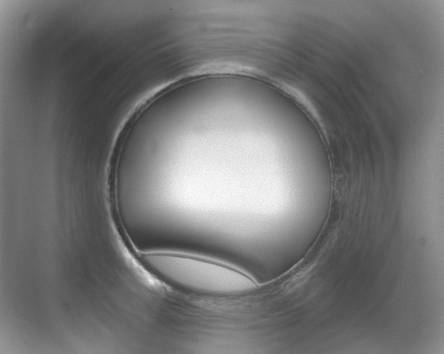 X0000071330995200606230759