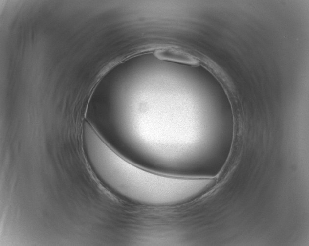 X0000071331001200606230759