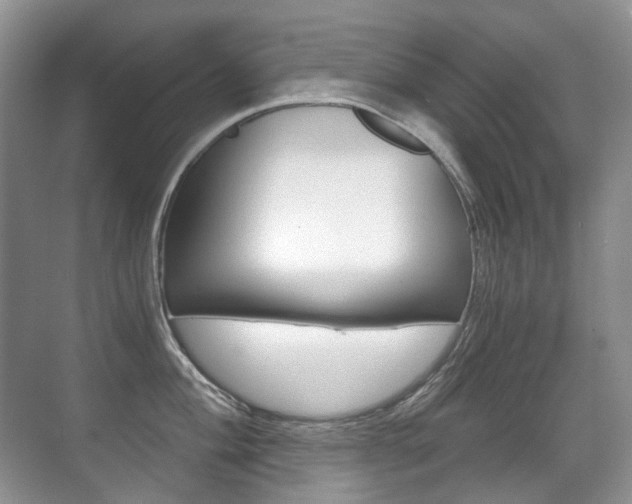 X0000071331004200606230759