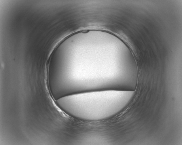 X0000071331006200606230759