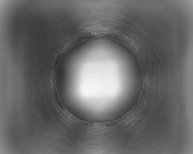 X0000071331012200606230758