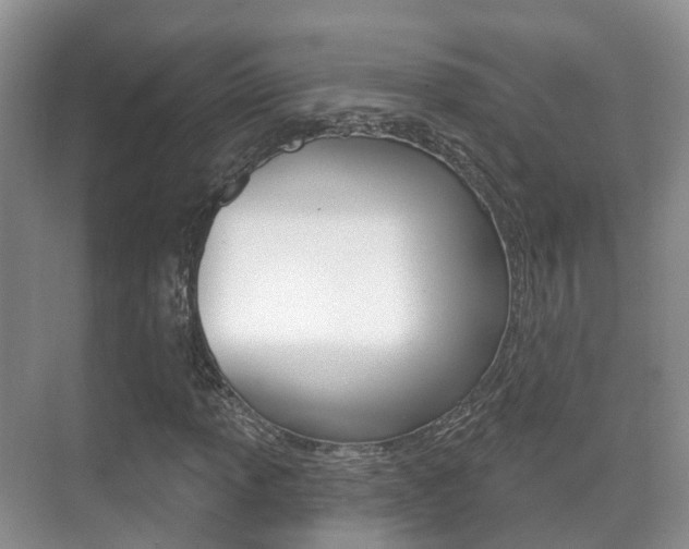 X0000071331013200606230758