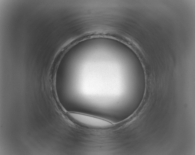 X0000071331018200606230758