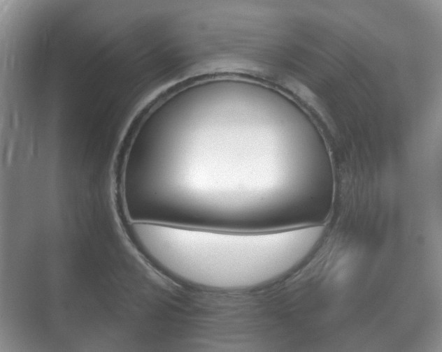 X0000071331024200606230758